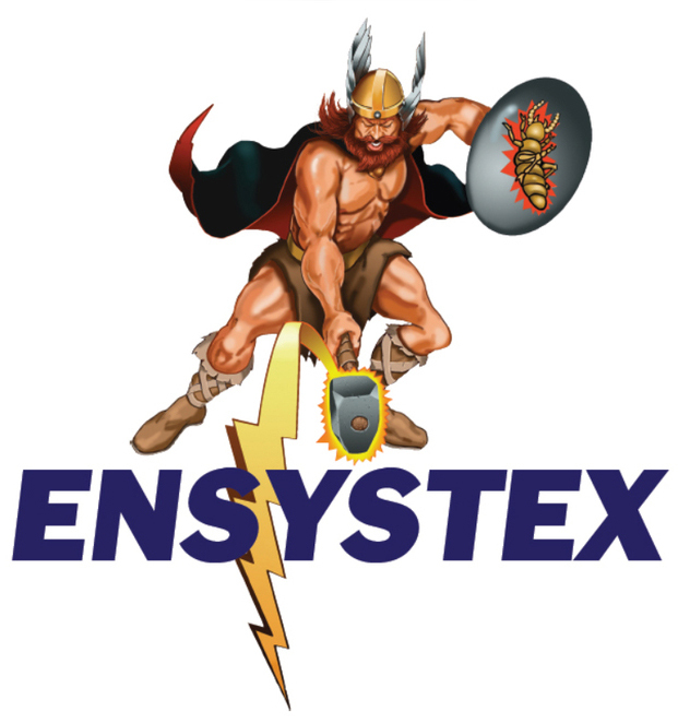Ensystex Logo With Thor