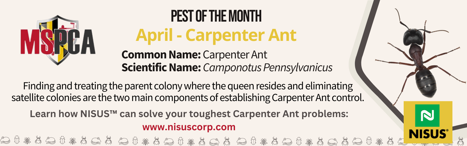 April Carpenter Ant Banner