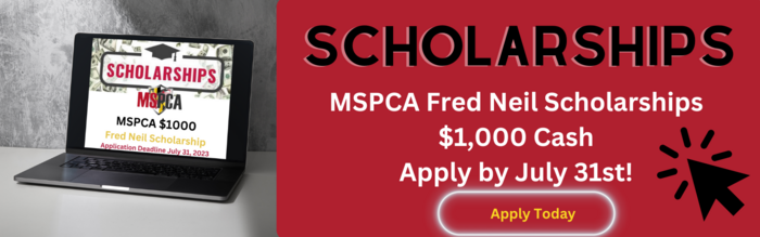 Fred Neil Scholarship Banner