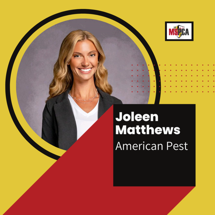 Joleen Matthews