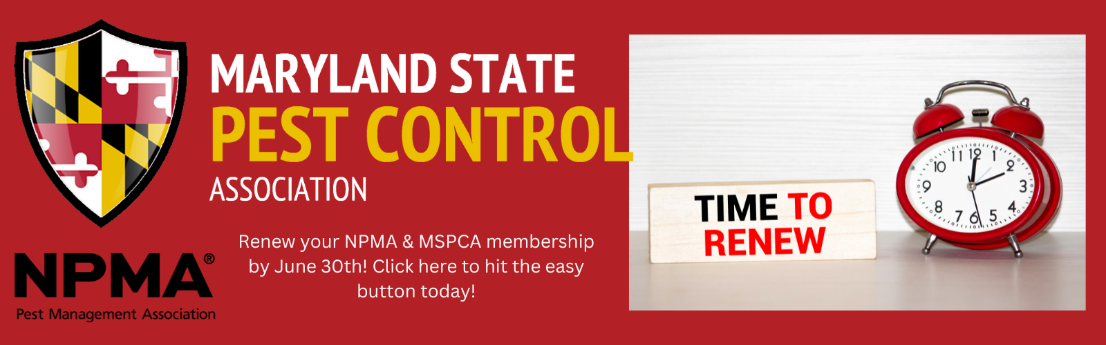 MSPCA Membership Renewal Banner 2025
