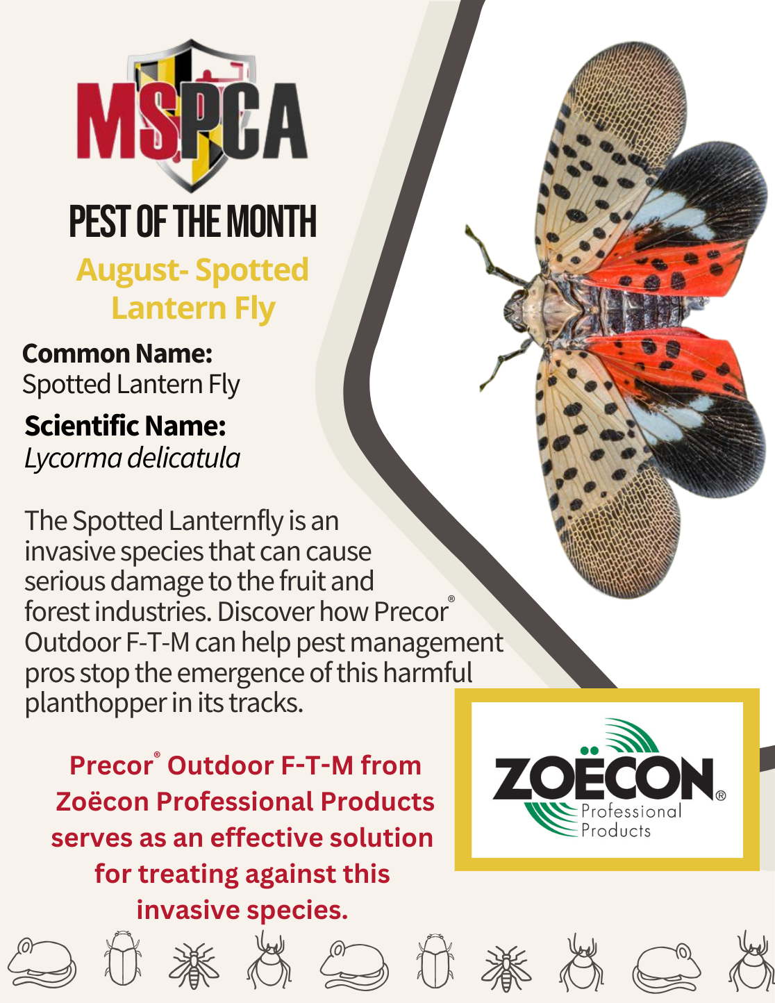 POTM Aug 2025 -Spotted Lantern Fly