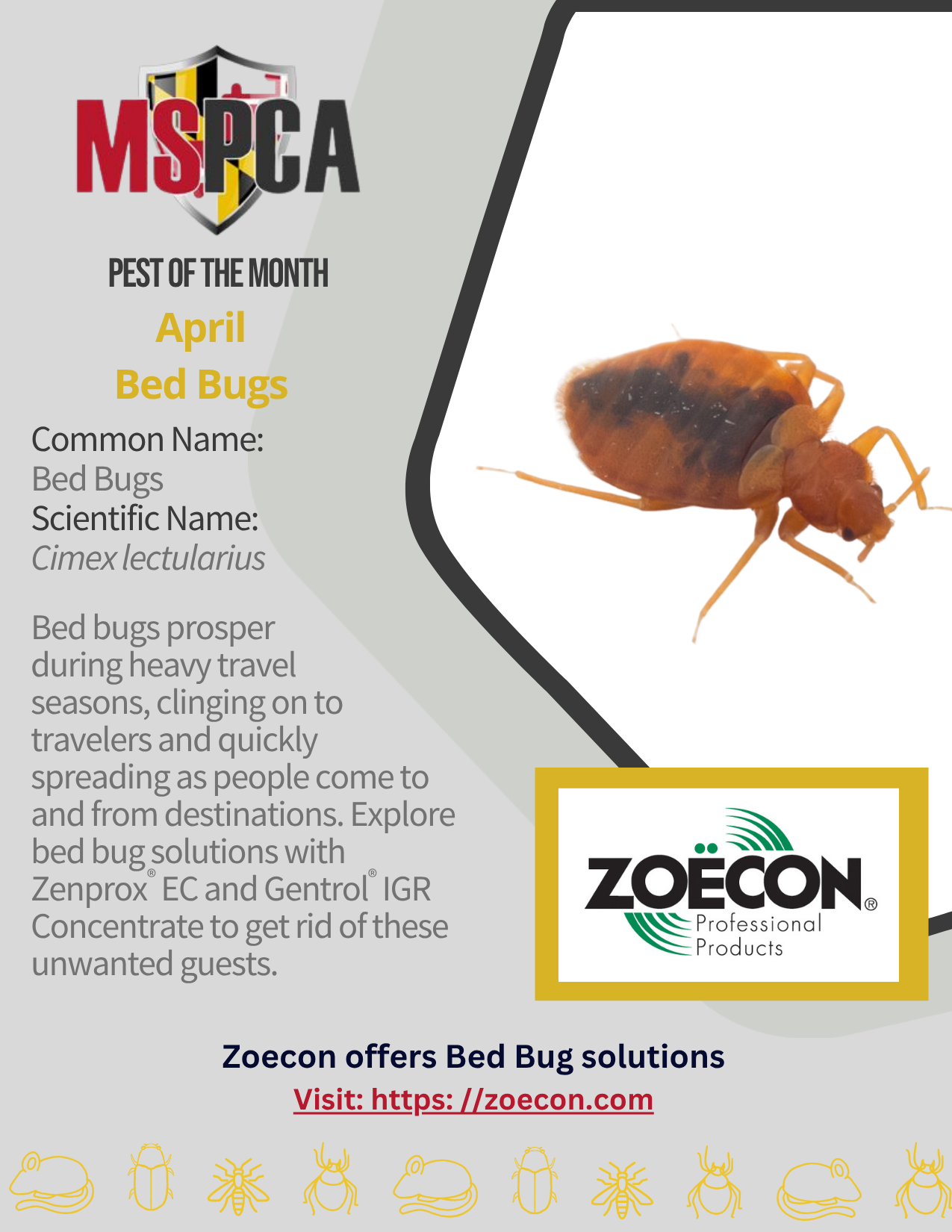 POTM Bed Bugs April 2026