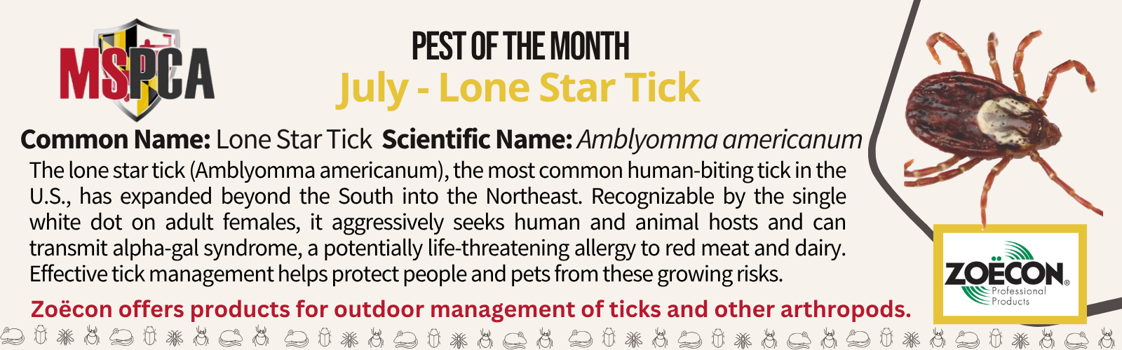 POTM July 2026 - Lone Star Tick - Zoecon