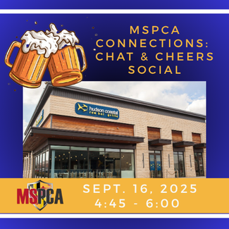 Connections Chat & Cheers