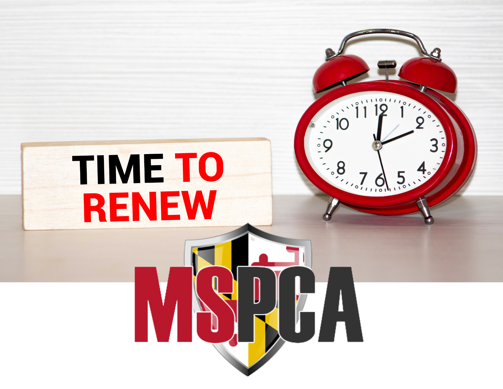 Renew Your MSPCA Membership Dues