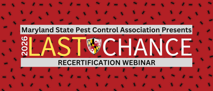Last Chance Webinar Draws 186 PMPs